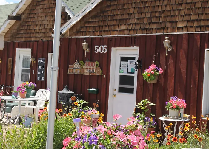 Black Bear Hotel