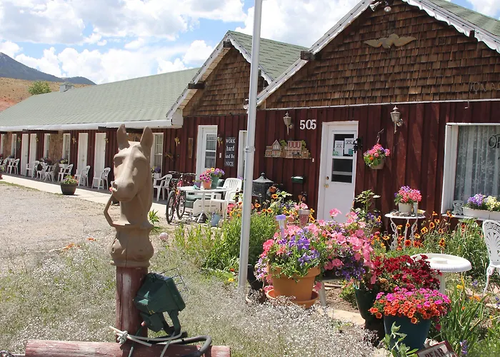 Black Bear Hotel