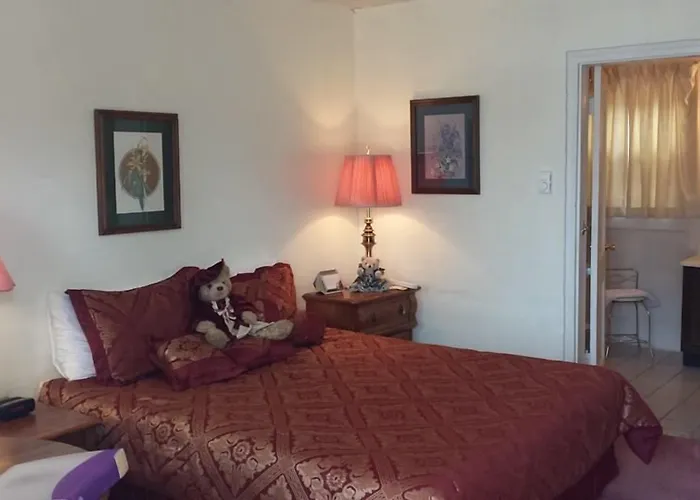 Black Bear Hotel