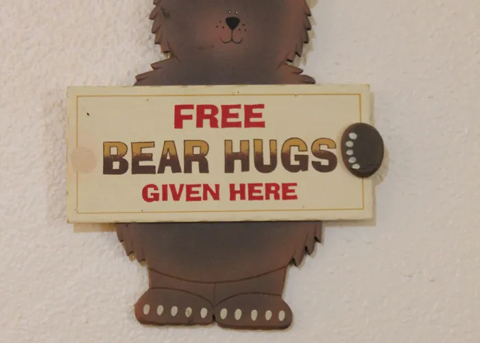 Black Bear Dubois