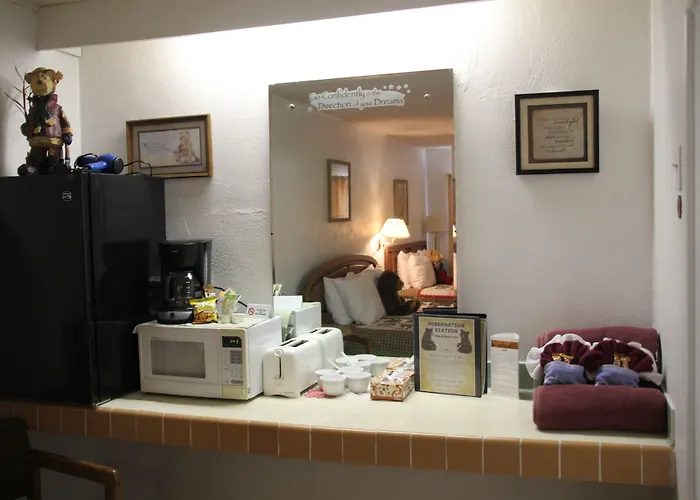 Hotel Black Bear