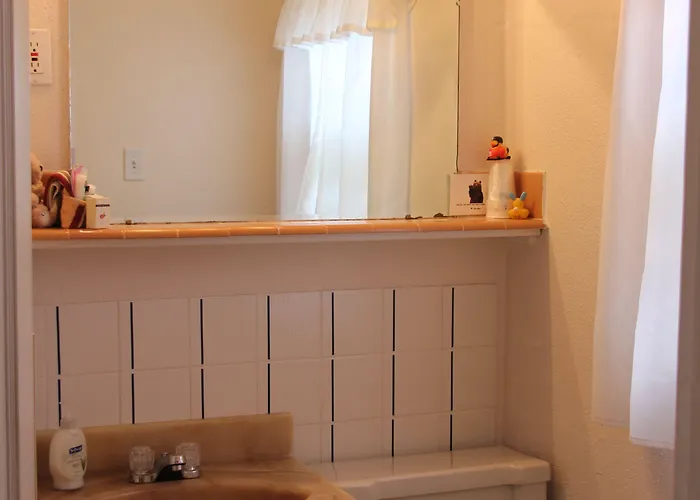 Black Bear Dubois