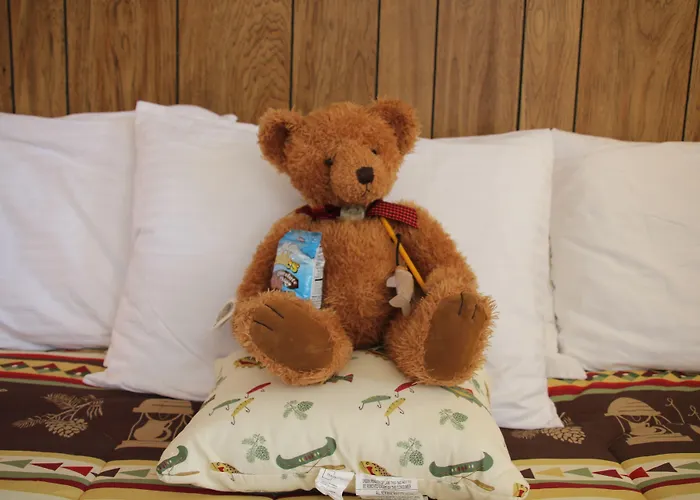 Black Bear 2* Dubois