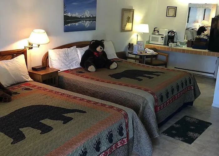 Black Bear 2* Dubois