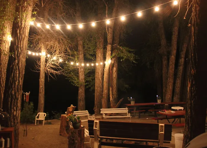 Hotel Black Bear