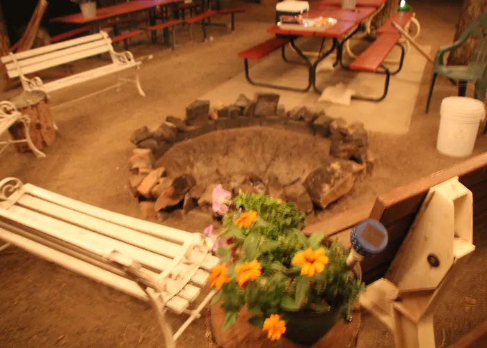 Hotel Black Bear 2*