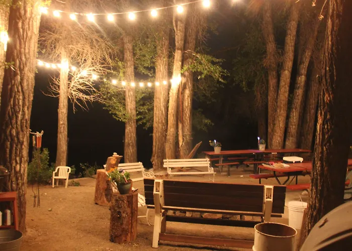 Hotel Black Bear