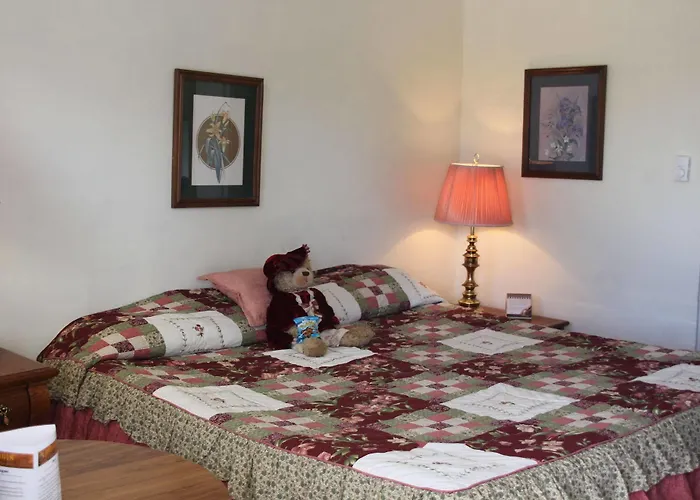 Black Bear Hotel 2*